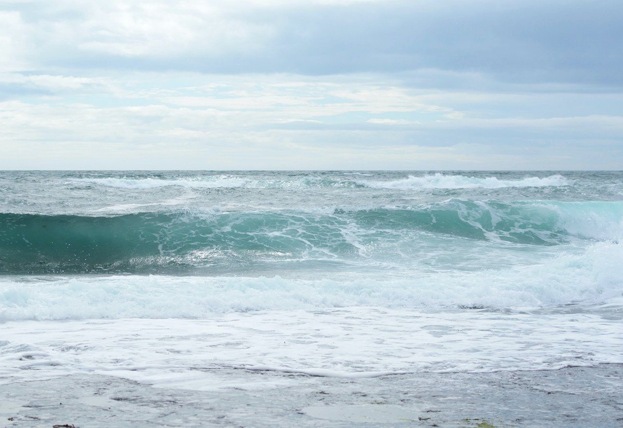 Deodorant & fragrance