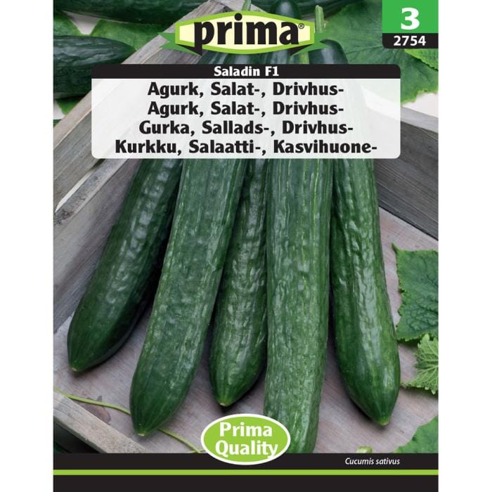 PRIMA® Agurk, Salat-, Drivhus-