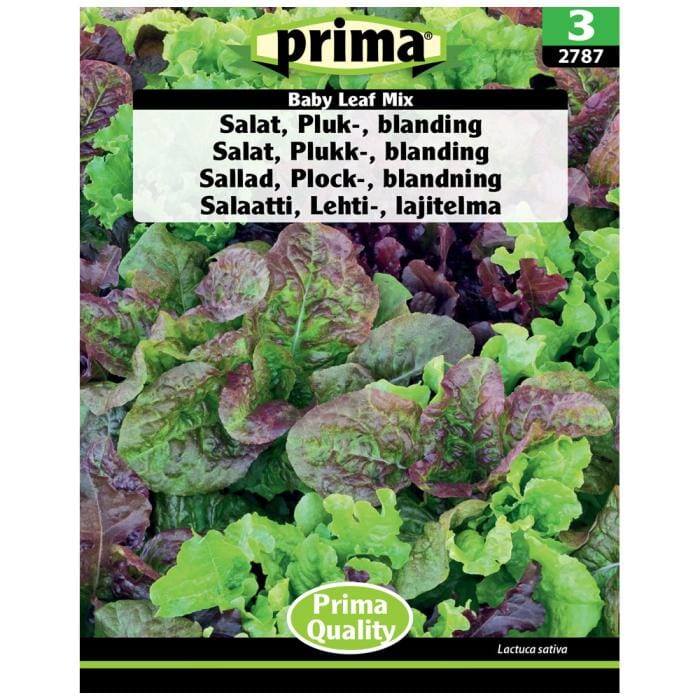 PRIMA® Salat, Pluk-, blanding