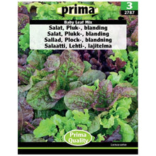 Indlæs billede til gallerivisning PRIMA® Salat, Pluk-, blanding
