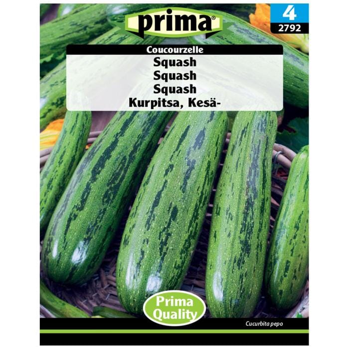 PRIMA® Squash Coucourzelle