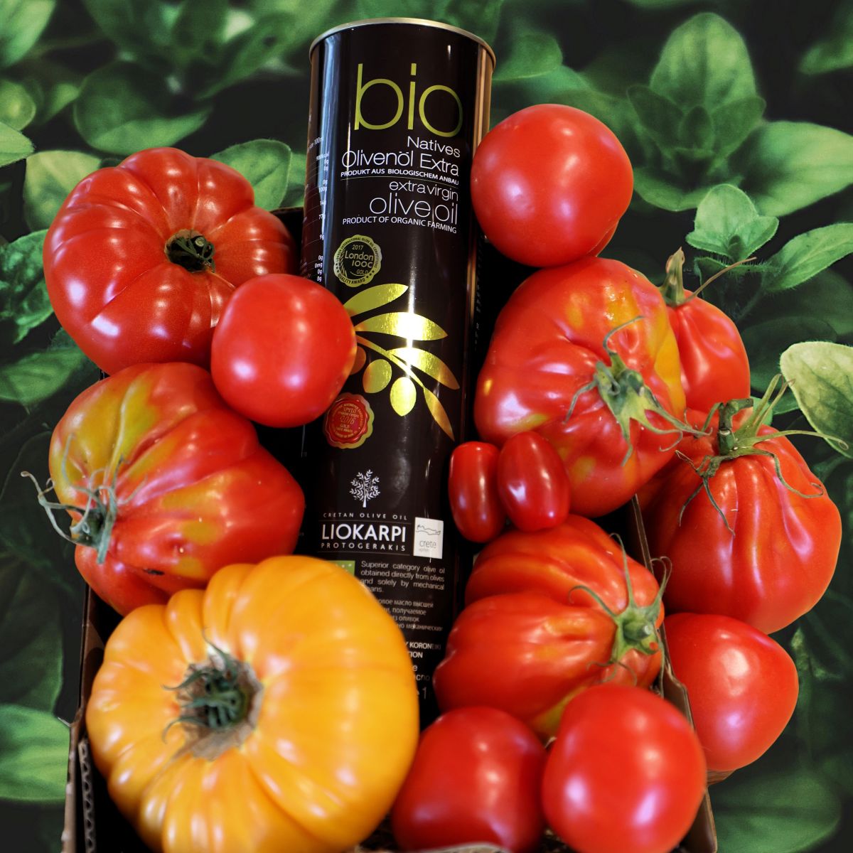 Protogerakis Økologisk Olivenolie fra Kreta - 1 Liter