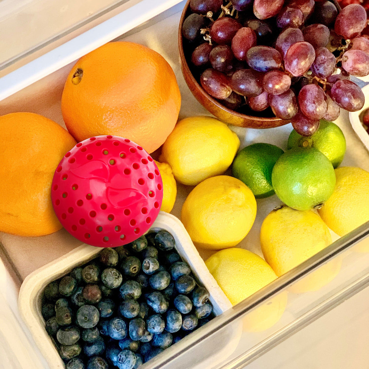 Wrappy Pod Starter Sæt, den geniale løsning på frugt og grønt madspild