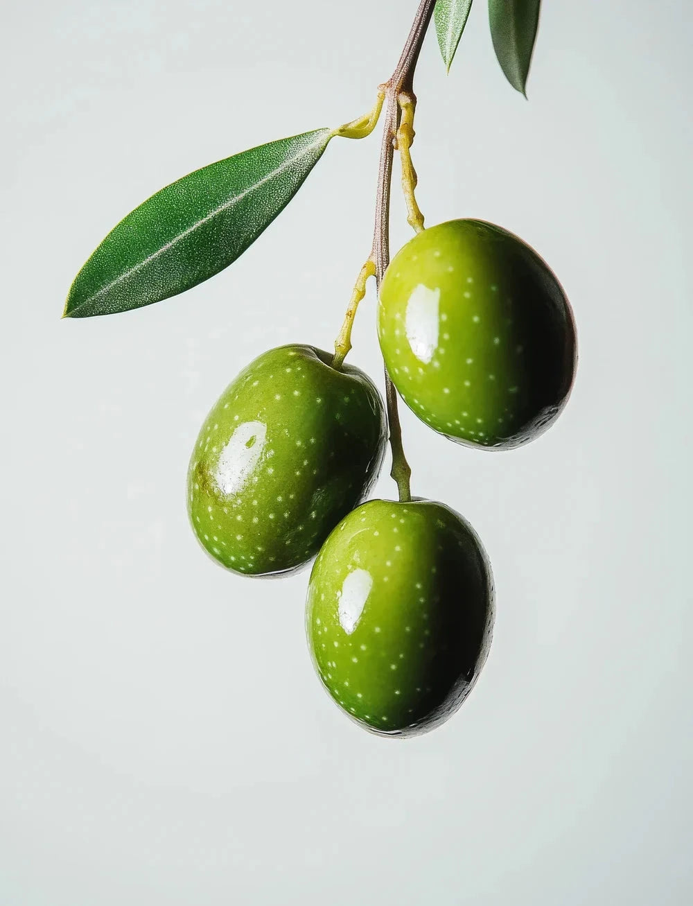 Olivenvoks Bloklys Medium - Moss Green