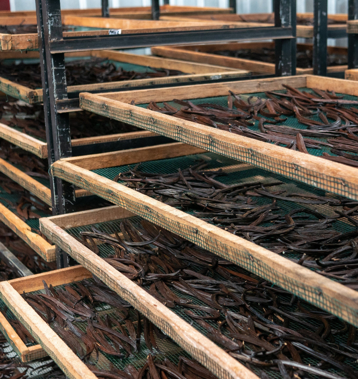 Suztain Økologiske Vaniljestænger - 10 STK