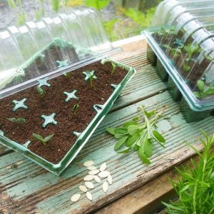Gro-sure Visiroot Propagator Set
