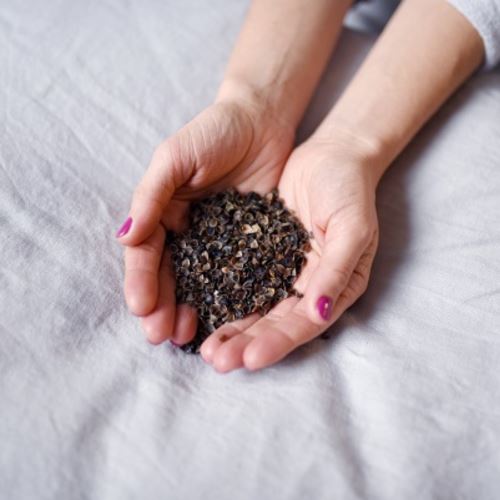 Suztain - Økologisk Boghvede Refill - 1 kg Suztain