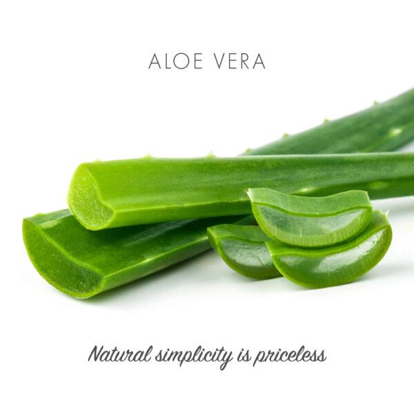 Friendly - Sæbebar med Aloe Vera - 95 gram Friendly Soap