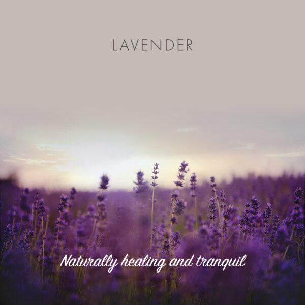 Friendly - Sæbebar med Lavendel - 95 gram Friendly Soap