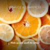 Friendly - Sæbebar med Appelsin & Grapefrugt - 95 gram Friendly Soap