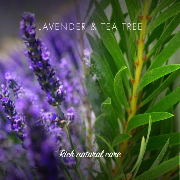 Friendly - Shampoobar med Lavendel og Tea Tree- 95 gram Friendly Soap