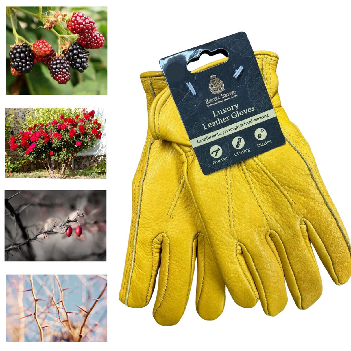 Kent & Stowe Luksus Læderhandsker Kvinder - Str. M