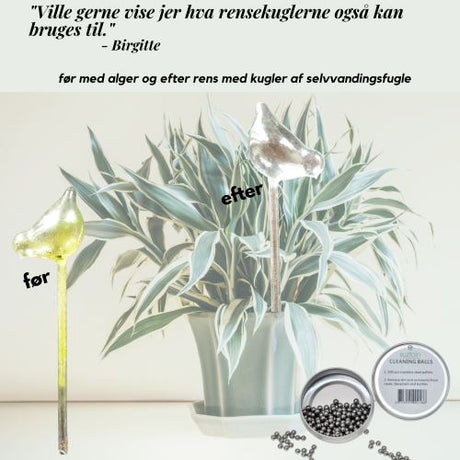 Rensekugler i rustfrit stål til rens af vaser og flasker GreenGenius