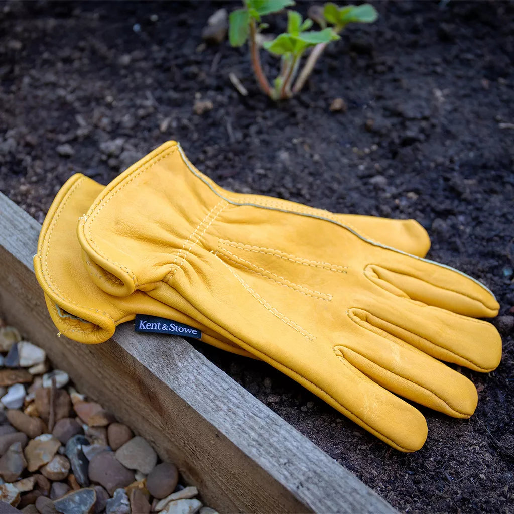 Kent & Stowe Luksus Læderhandsker Kvinder - Str. S
