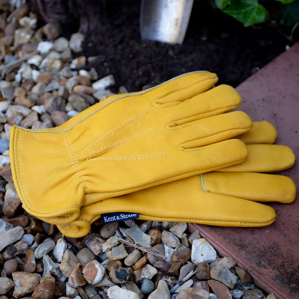 Kent & Stowe Luksus Læderhandsker Mænd - Str. L