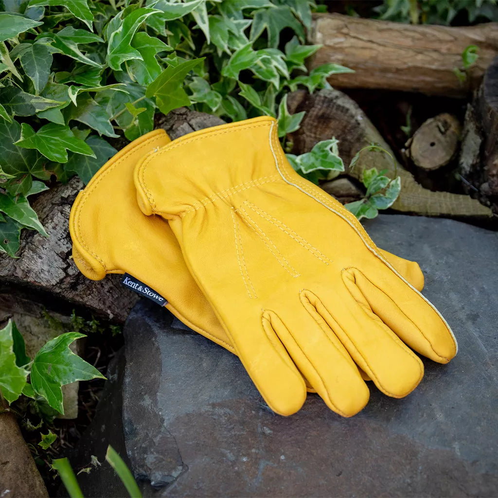 Kent & Stowe Luksus Læderhandsker Kvinder - Str. M