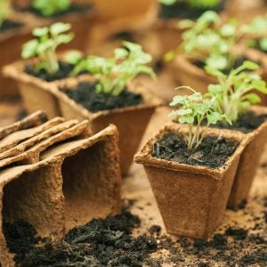 Gro-Sure Fiberpotter 6 Cm - Firkantet 20 stk