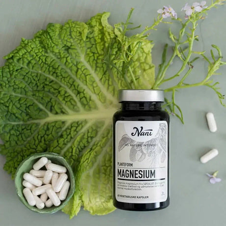 Magnesium til hverdagen: Sådan vælger du efter dine behov