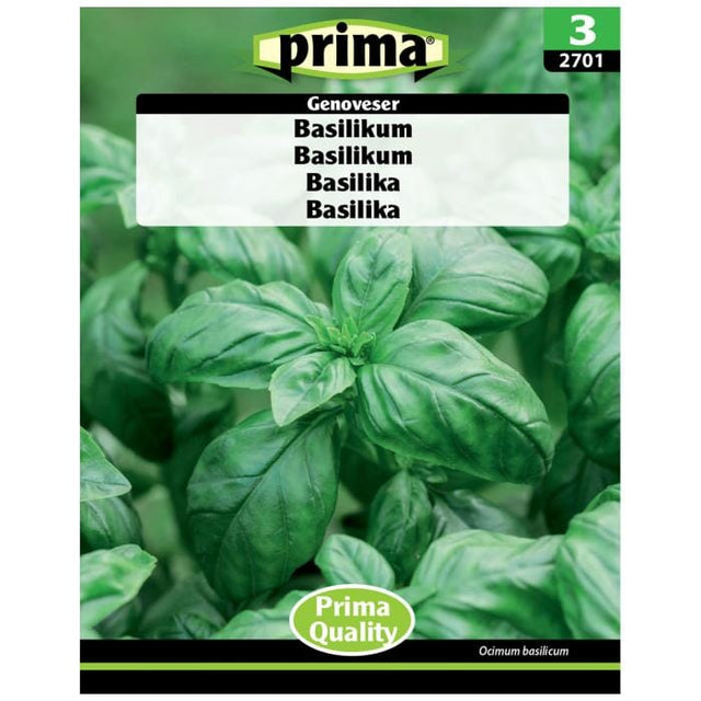 PRIMA® Basilikum