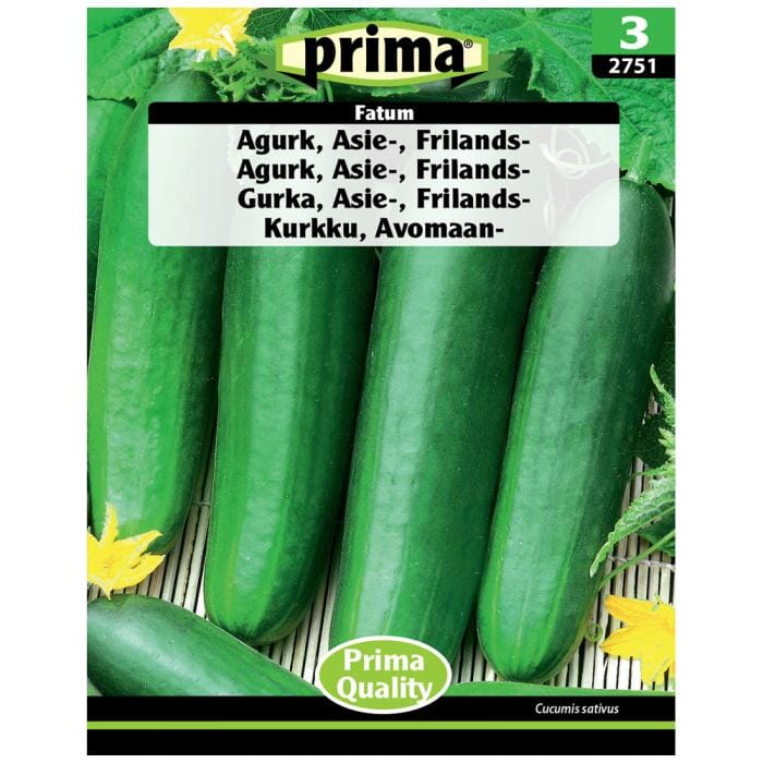 PRIMA® Agurk, Asie-, Frilands-