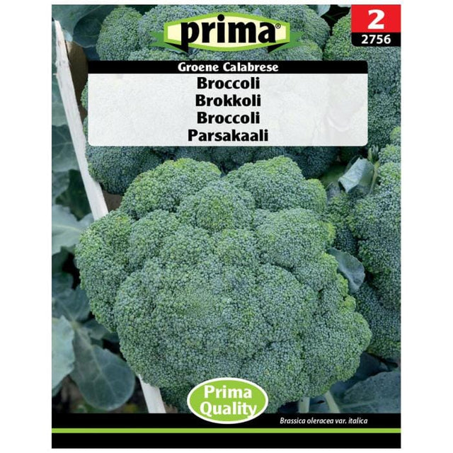 PRIMA® Broccoli