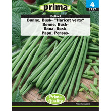 Load image into Gallery viewer, PRIMA® Bønne, Busk- ”Haricot verts“
