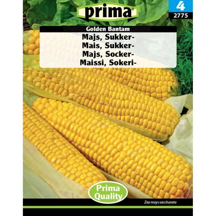 PRIMA® Majs, Sukker