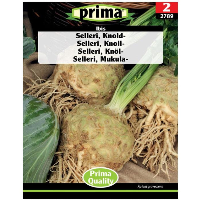 PRIMA® Selleri, Knold