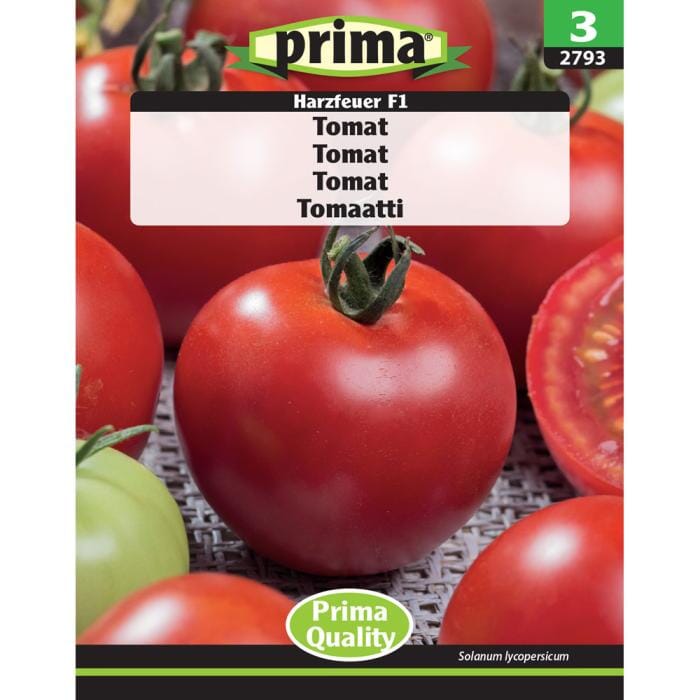 PRIMA® Tomat