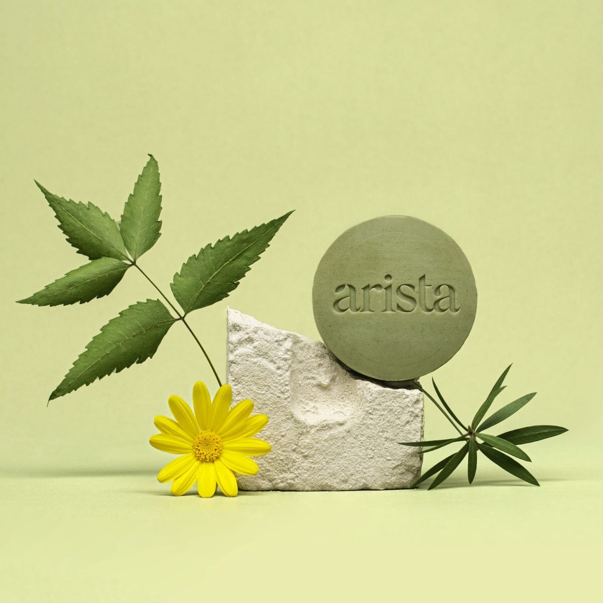 Shampoo Bar mod Skæl