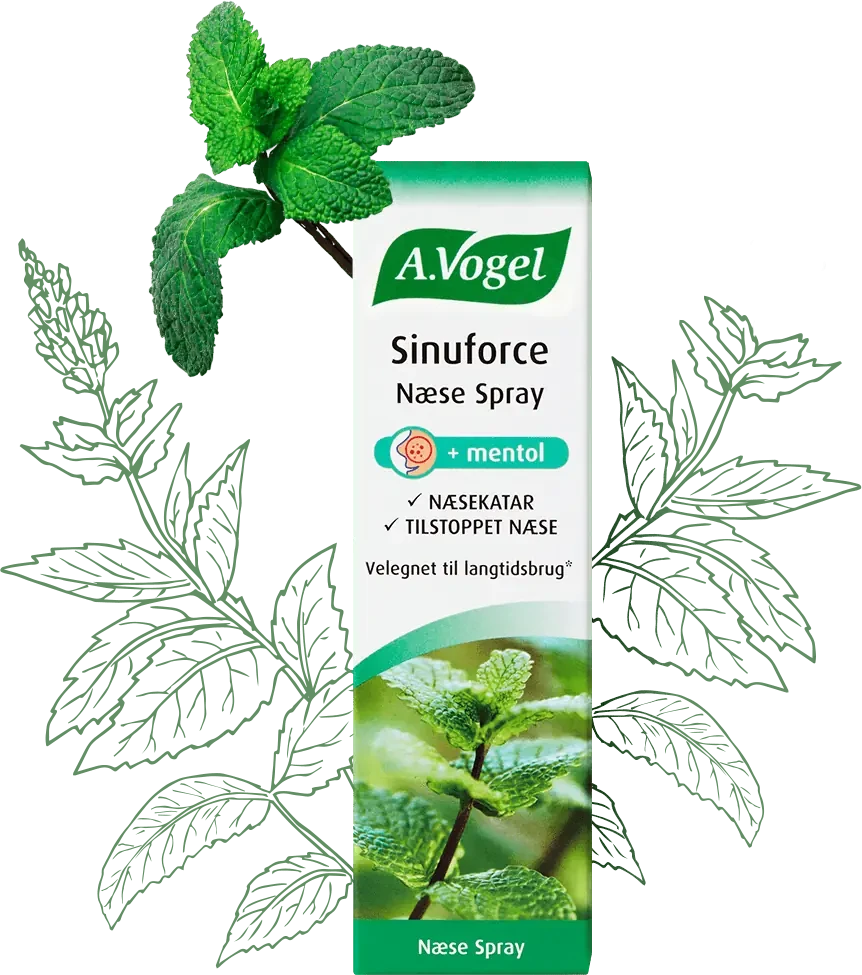 A.Vogel Sinuforce Næse Spray (20 ml)