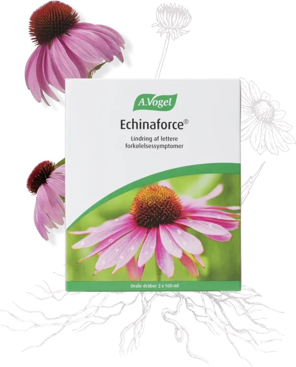 A. Vogel Echinaforce - 2*100 ML