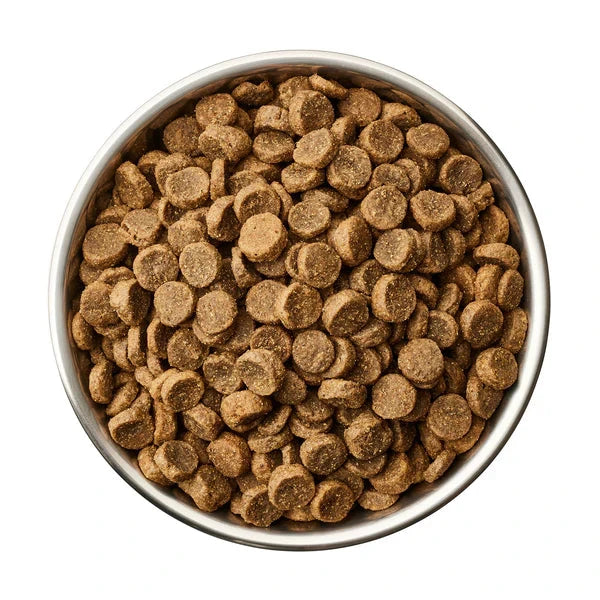 Globe Buddy Blue, dansk premium fuldfoder med laks, 4 kg