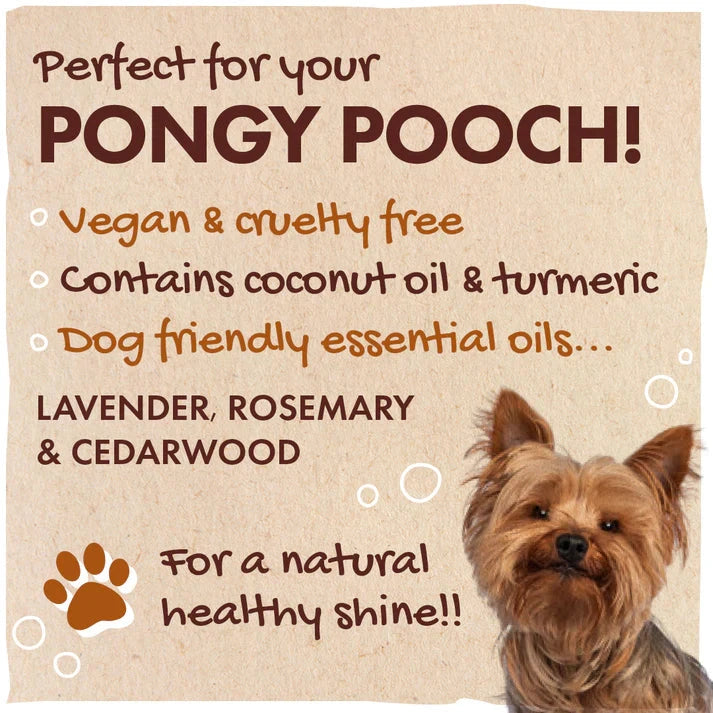 Friendly Dog Soap