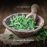Friendly Sæbebar - Rosmarin - 100% Naturlig og Vegansk