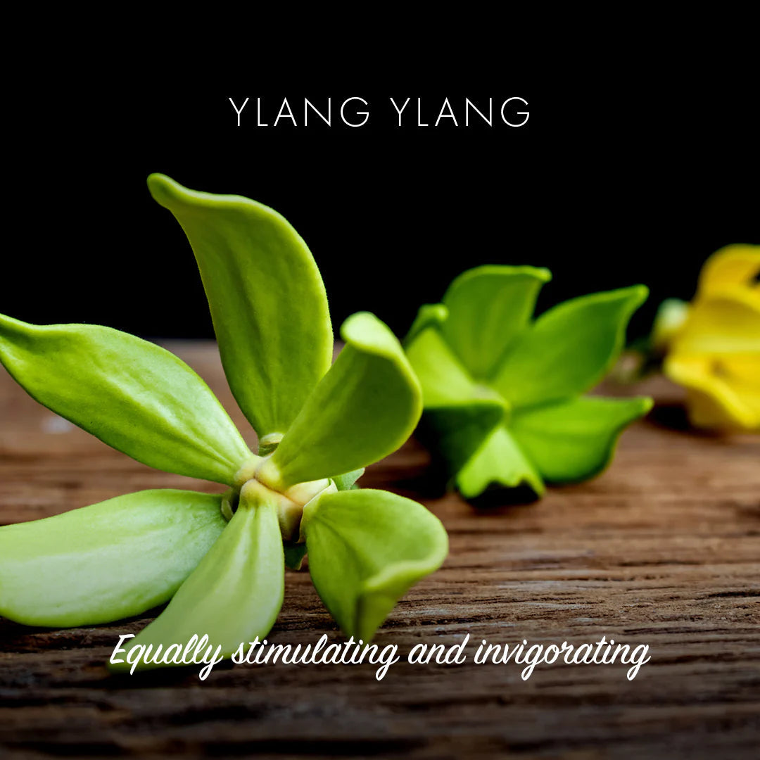 Friendly Sæbebar - Ylang & Ylang - 100% Naturlig og Vegansk