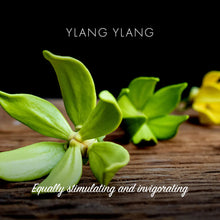 Indlæs billede til gallerivisning Friendly Sæbebar - Ylang &amp; Ylang - 100% Naturlig og Vegansk
