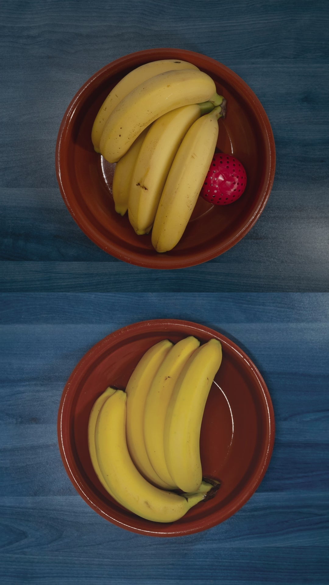 Wrappy Stop Madspild - Pod Starter Sæt, den geniale løsning på frugt og grønt madspild