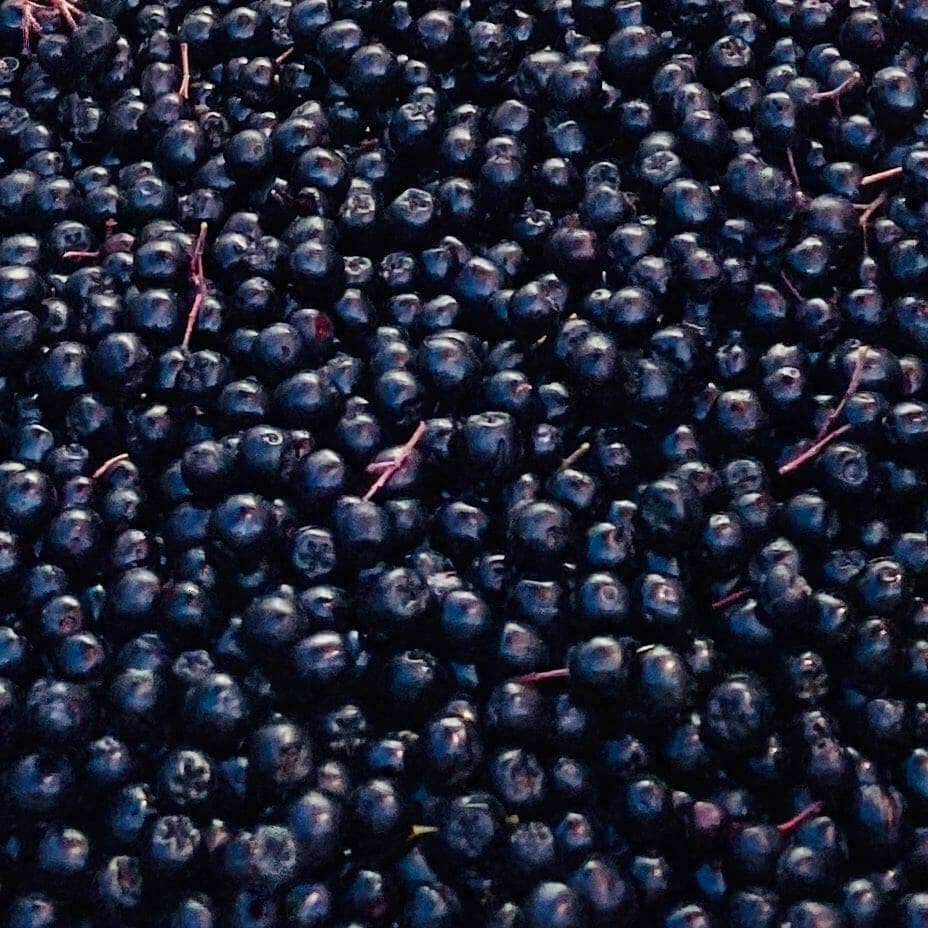 Måske verdens bedste Aronia Juice - økologisk og ufortyndet uden tilsat sukker 3 Liter
