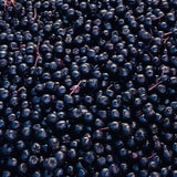 Måske verdens bedste Aronia Juice - økologisk og ufortyndet uden tilsat sukker 3 Liter